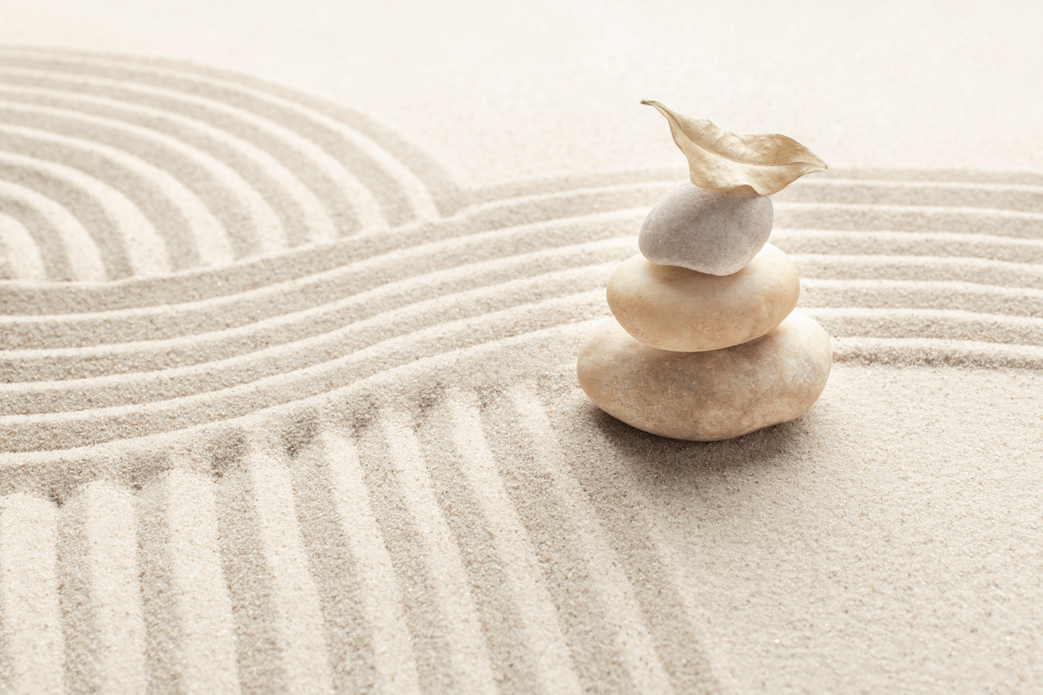 Razón vs. Emoción: Cómo Encontrar el Equilibrio