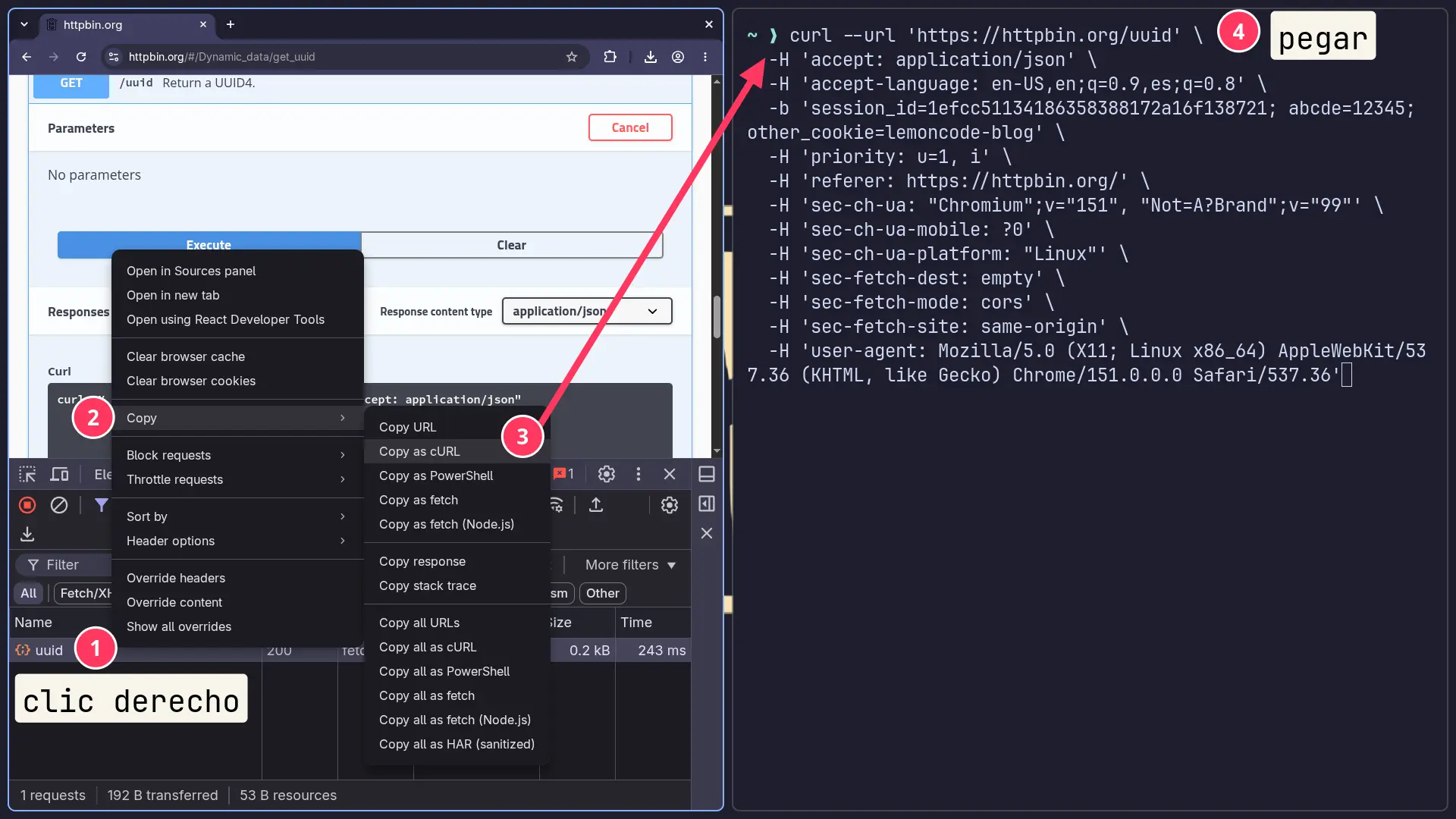 Copiar como petición cURL: Acceder a Network, botón derecho en la petición, Copy as Curl