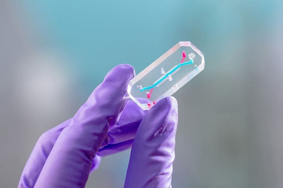 emulate-organ-chip-blue-glove-2-1.jpg