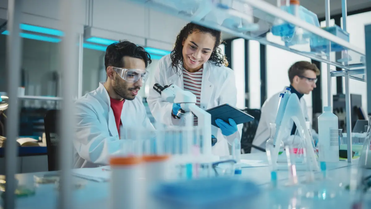 Investigación en Mundae