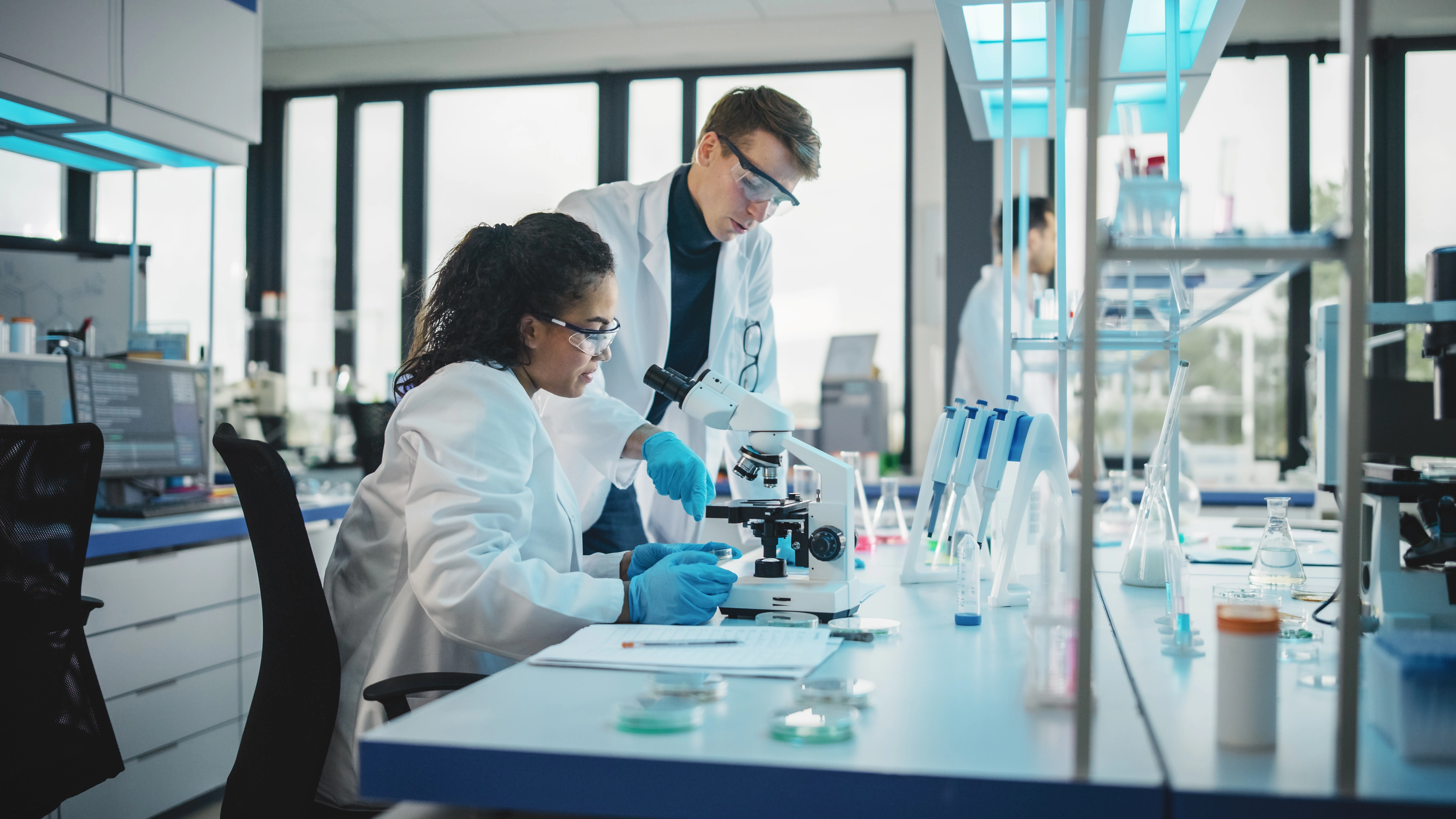 Investigación